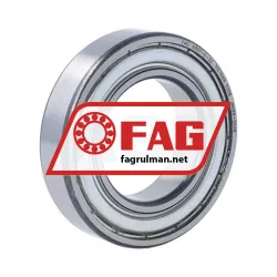 FAG 6007-C-2Z
