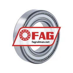 FAG 6007-C-2Z rulman resim 2