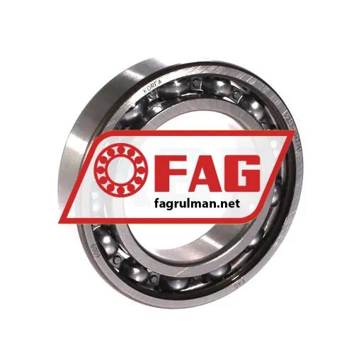 FAG 6009