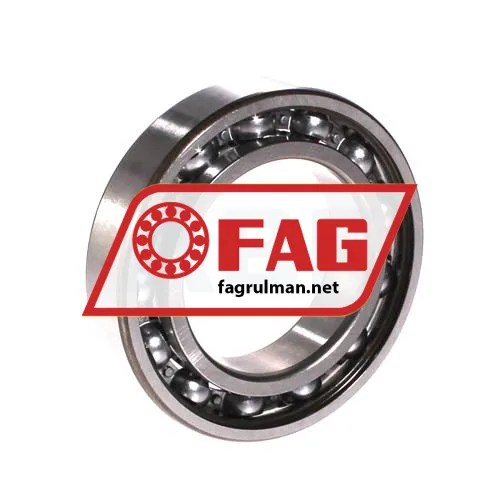 FAG 6009 ürün fotoğrafı 2