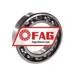 FAG 6009