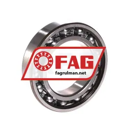 FAG 6009 rulman resim 2