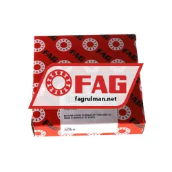 FAG 6009 rulman resim 3