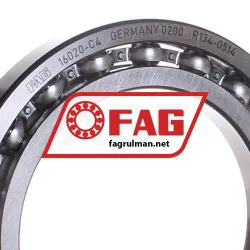 FAG 16020-C4 rulman resim 2