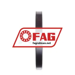 FAG 16020-C4 rulman resim 3