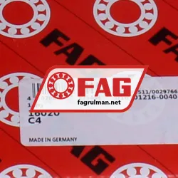 FAG 16020-C4 rulman resim 5