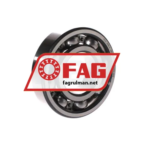 FAG 6310-C