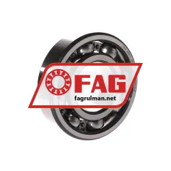 FAG 6310-C