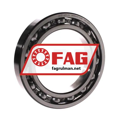 FAG 6019-C4