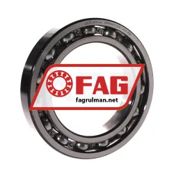FAG 6019-C4