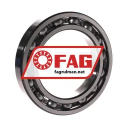 FAG 6019-C4 rulman resim 2