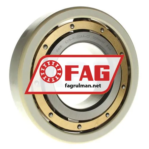 FAG 6319-M-J20AA-C3