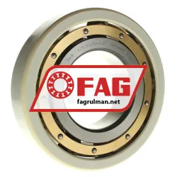 FAG 6319-M-J20AA-C3