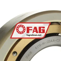 FAG 6319-M-J20AA-C3 rulman resim 2