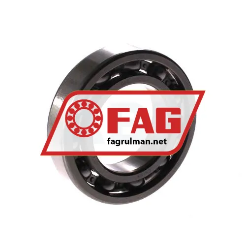 FAG 6007-H