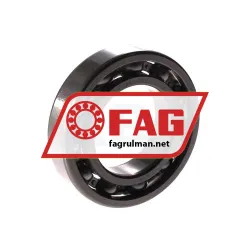 FAG 6007-H