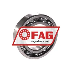 FAG 6007-H rulman resim 2