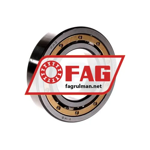 FAG 6209MA-P53