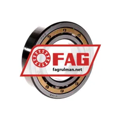 FAG 6209MA-P53