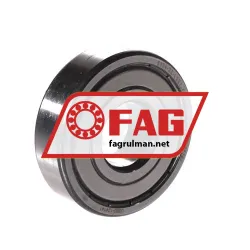 FAG 6304-2Z-L207-C3