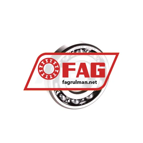 FAG R10-HLC