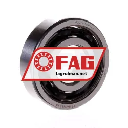FAG 6305-TVH-C4 rulman resim 2