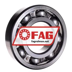 FAG 6317-P6-C3
