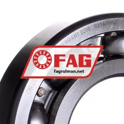 FAG 6317-P6-C3 rulman resim 2