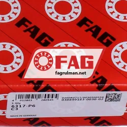 FAG 6317-P6-C3 rulman resim 5
