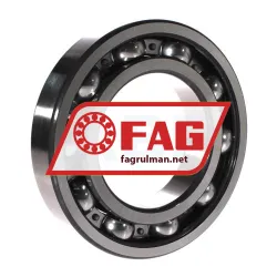 FAG 6219-Z rulman resim 2