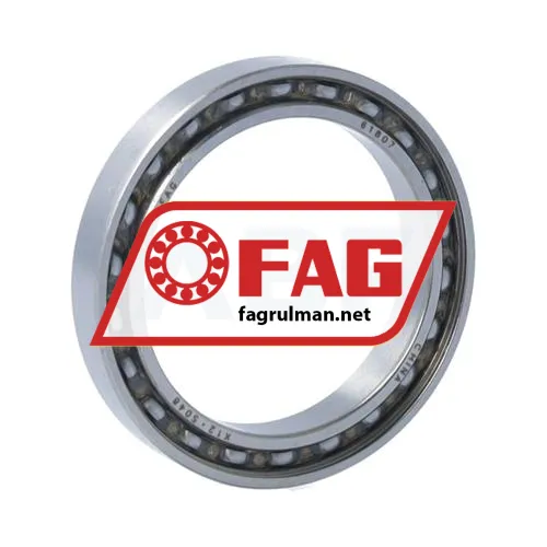 FAG 61807