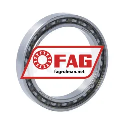 FAG 61807