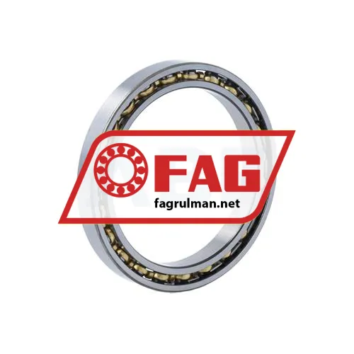 FAG 61809-Y