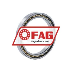 FAG 61809-Y