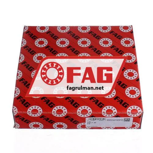 FAG 6317-M-C3 ürün fotoğrafı 4
