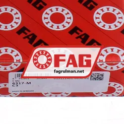 FAG 6317-M-C3 rulman resim 5