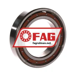 FAG 6010-TB-P6-C3
