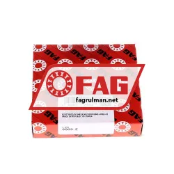 FAG 6009-Z rulman resim 3