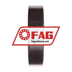 FAG 6413-C3 rulman resim 3