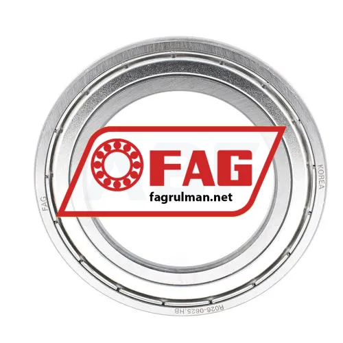 FAG 6010-2Z ürün fotoğrafı 2