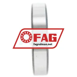 FAG 6010-2Z rulman resim 3