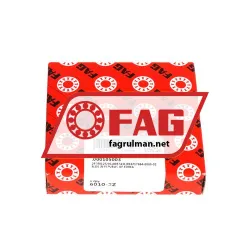 FAG 6010-2Z rulman resim 4