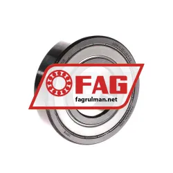FAG 6309-C-2Z-L069-C3