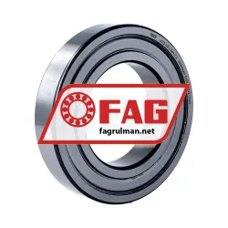 FAG 6215-2Z-L069-C3