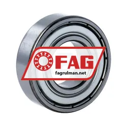 FAG 6006-2Z-L069-C3 rulman resim 2
