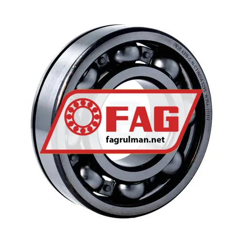 FAG 6310-C-N-C3