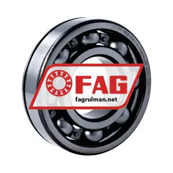 FAG 6310-C-N-C3