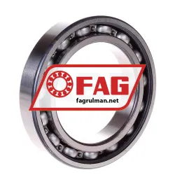FAG 6013-RSR