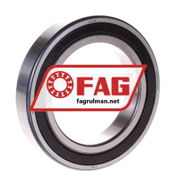 FAG 6013-RSR rulman resim 2