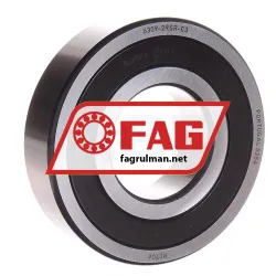 FAG 6309-2RSR-C3